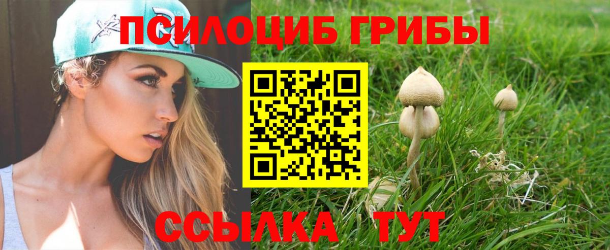 Вятские Поляны  Галлюциногенные грибы прущие грибы  Вход с VPN  Галлюциногенные грибы ЛСД 