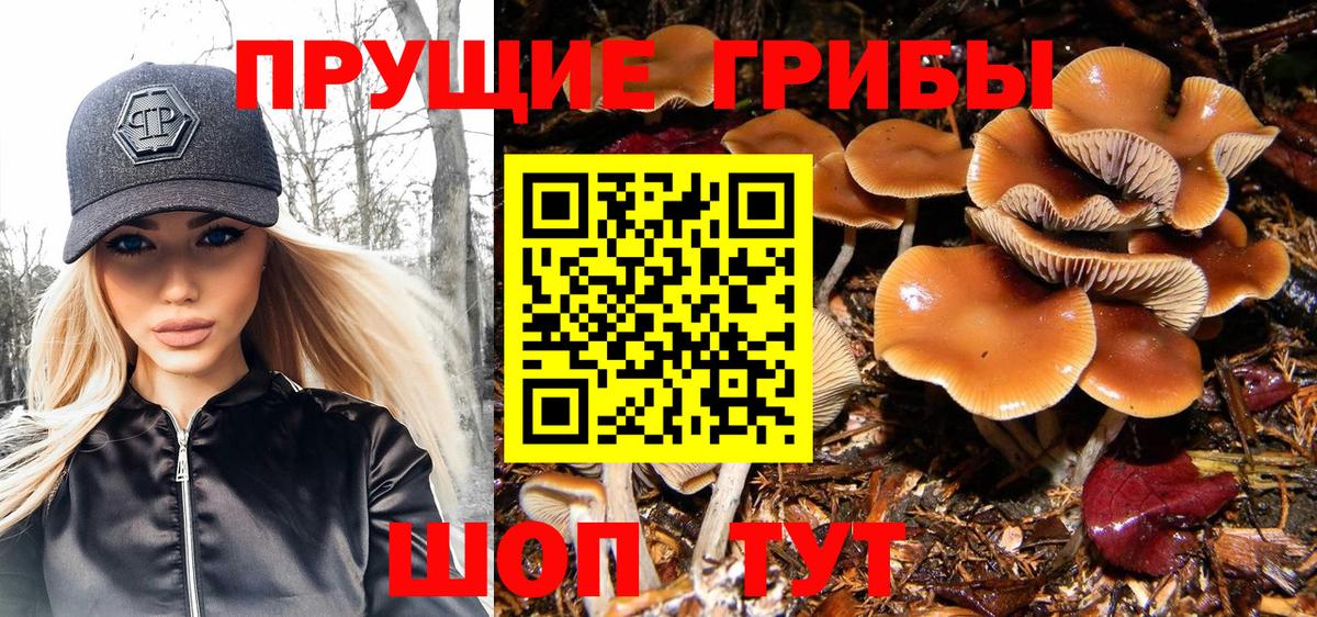 Псилоцибиновые грибы мухоморы Вятские Поляны